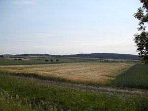 Rhoen-Radmarathon Nichtraucher 521